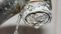 Das Wasser fließt wieder wie aus einem Wasserfall: Eine schnelle Methode, um Kalkablagerungen vom Sieb zu entfernen